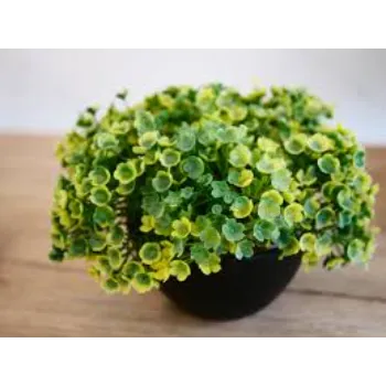 Nice One Artificial Plants